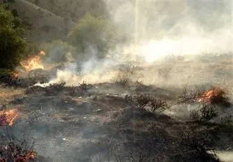 آتش بی‌رحمانه به جان جنگل‌های گچساران افتاد
