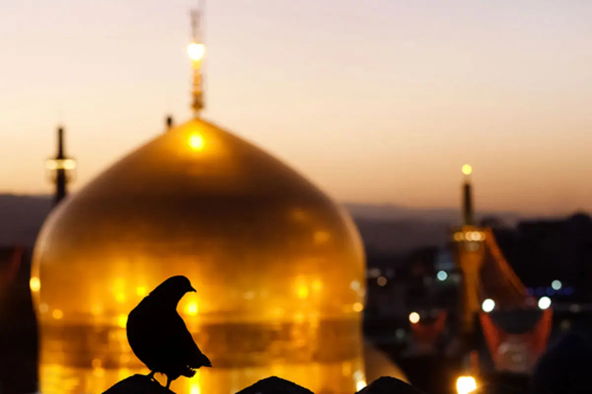 شستوشوی گنبد منور حرم مطهر رضوی در آستانه سال نو+فیلم