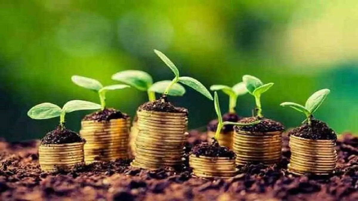 پرداخت تسهیلات ۵۰۰میلیون تومانی قرض‌الحسنه برای بازگشت به روستا
