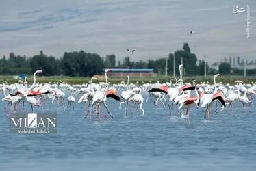 S8yobcbhxFlC