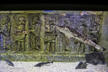 12552085_535