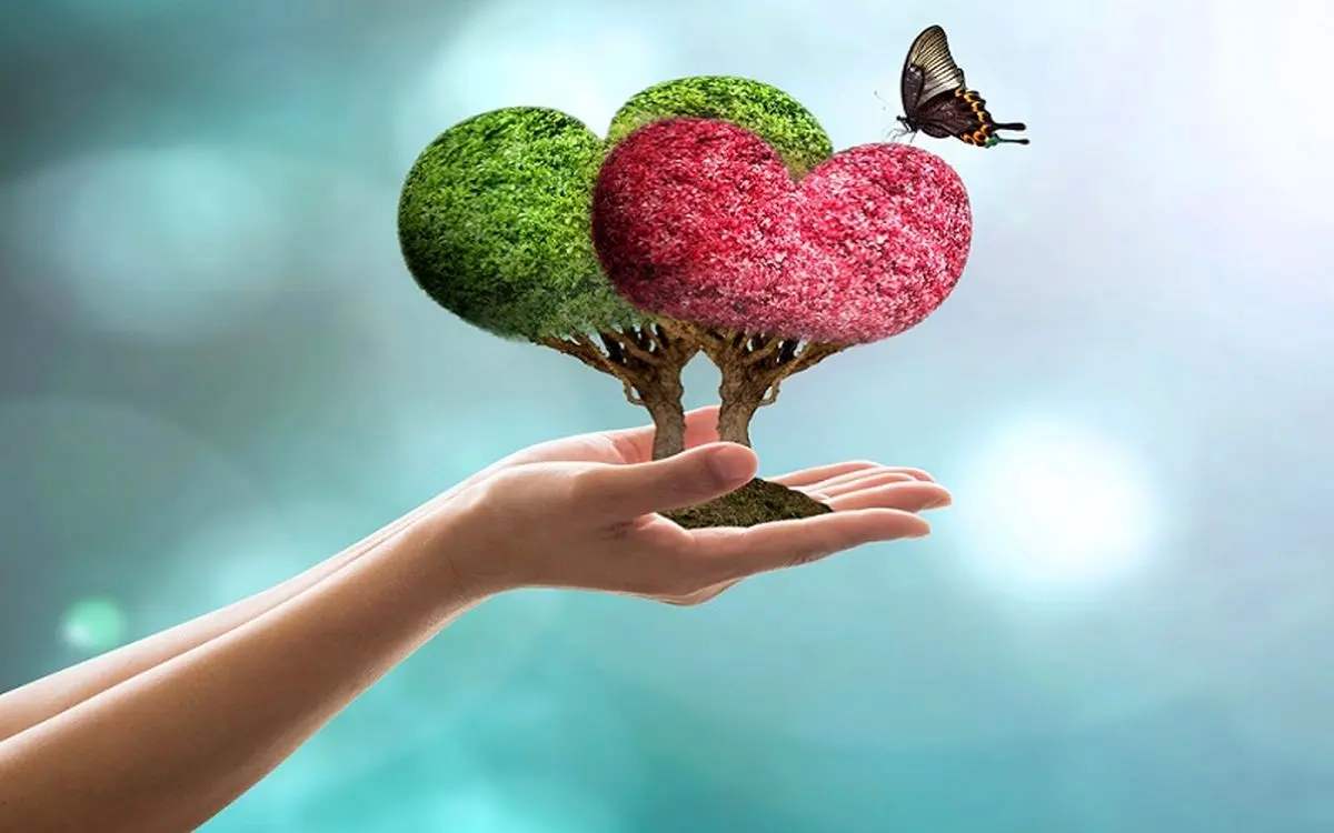 اگر می خواهید تا زنده اید در رفاه به سر برید، بخوانید