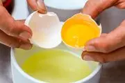 چرا باید از مصرف سفیده تخم مرغ به تنهایی پرهیز شود؟