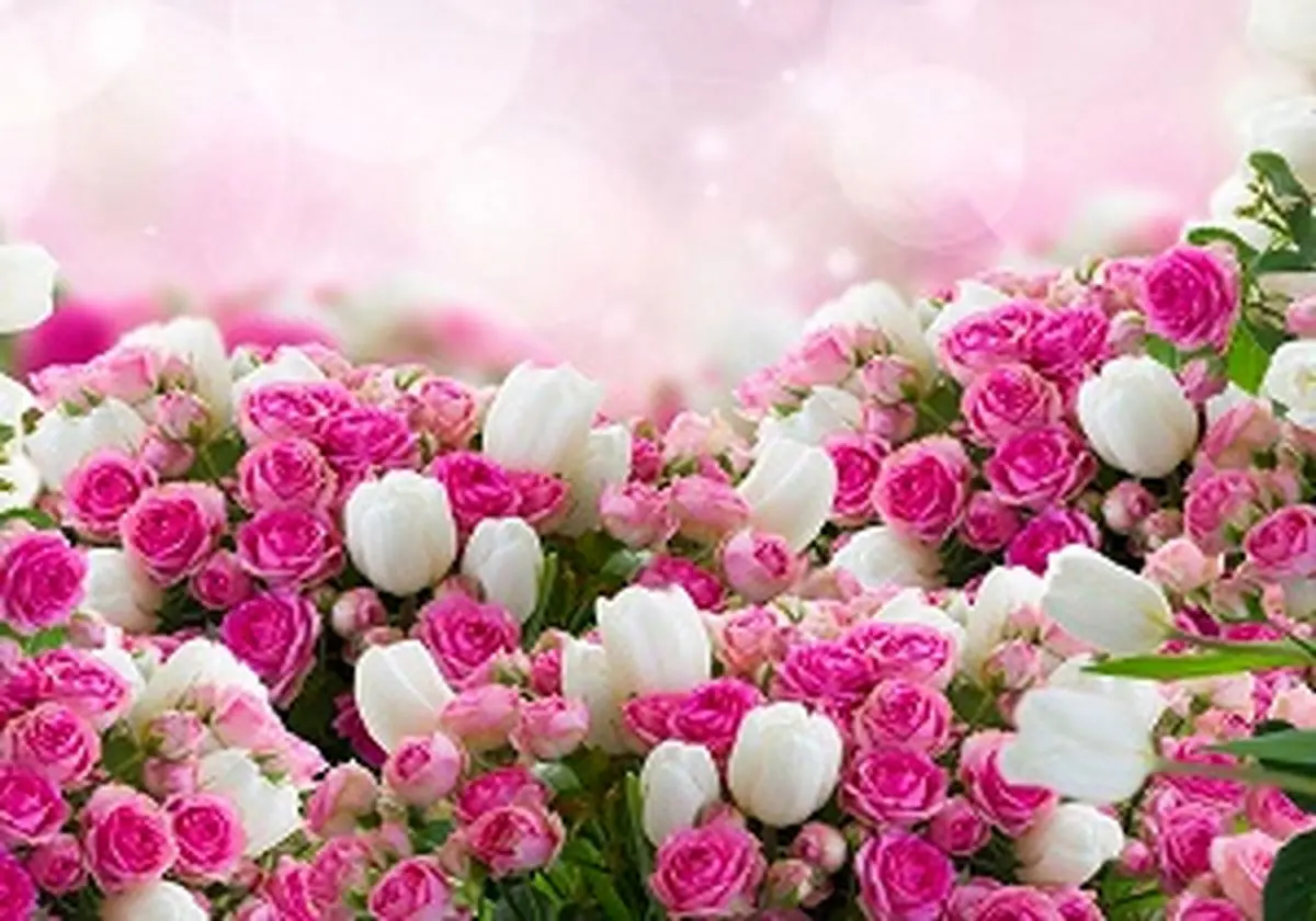 بازار گل در رکود است