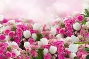 بازار گل در رکود است
