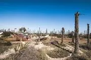 خرمشهر را کسی آباد نکرد!