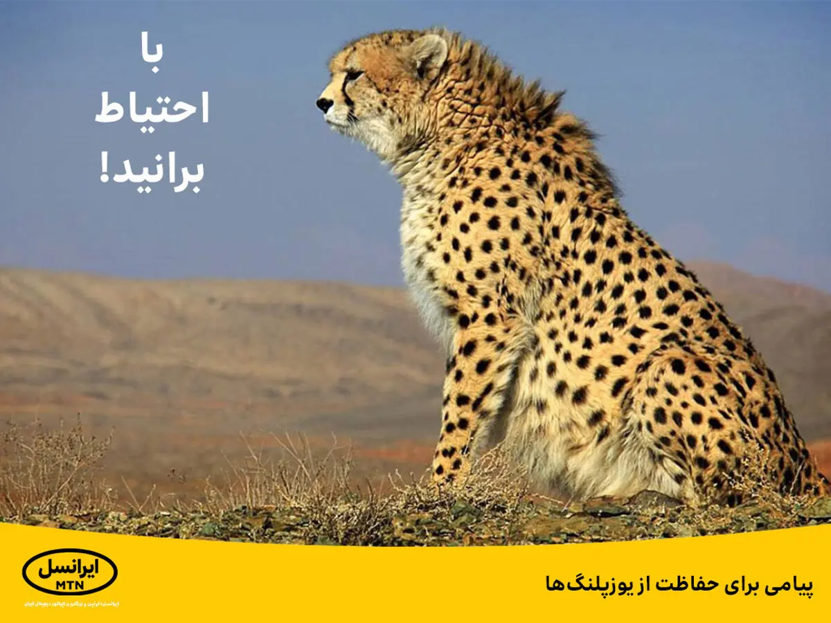 پیامی برای حفاظت از یوزپلنگ‌ها
