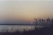 جایزه رییس جمهور برای حفظ جزایر مجنون