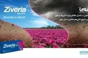 زیوریا (Ziveria)؛ راهکار نوین داروسازی دکتر عبیدی در درمان بیماری‌های آلرژیک