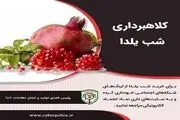 هشدار پلیس فتا درخصوص فرصت طلبی کلاهبرداران در شب یلدا