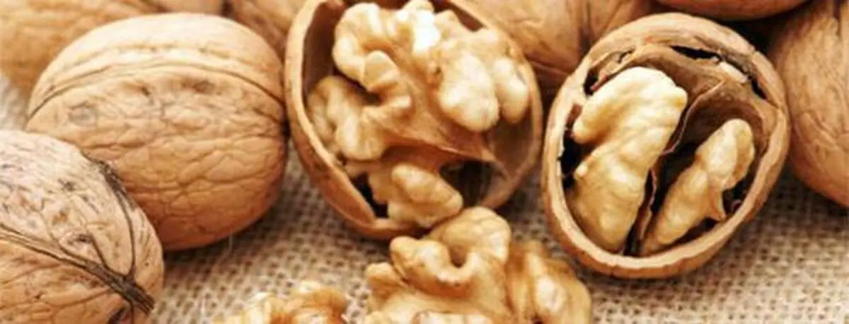 به خاطر کبد خود، این مواد را بیشتر مصرف کنید