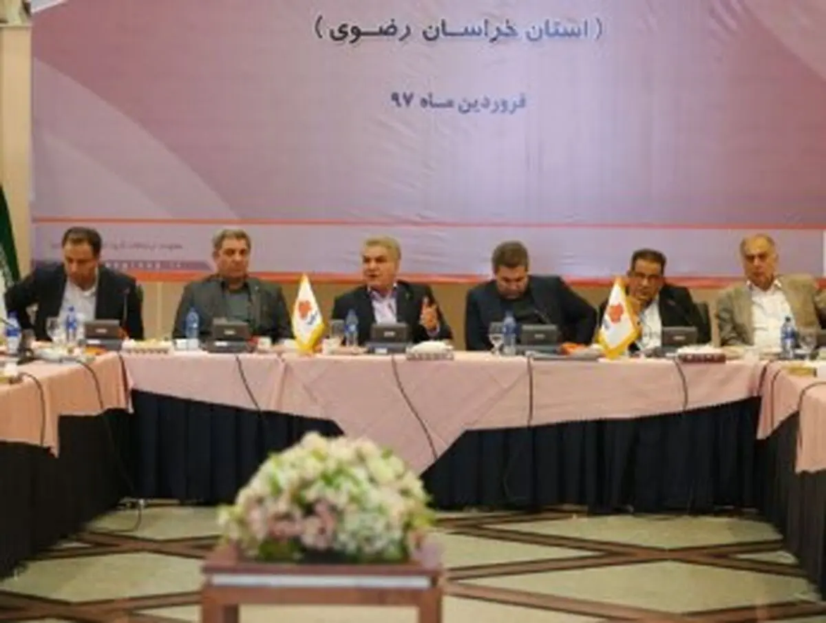 ظرفیت قطعه سازان داخلی سبب دلگرمی خودروسازان است