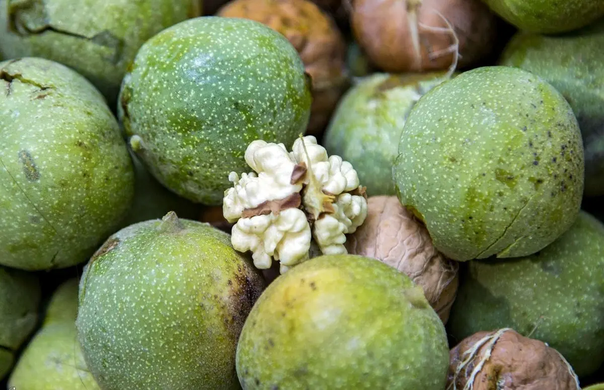 ۹ خاصیت شگفت انگیز گردو برای بدن