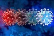 آیا ویروس مرگبار X واقعی است و باید نگران باشیم؟
