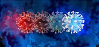 آیا ویروس مرگبار X واقعی است و باید نگران باشیم؟
