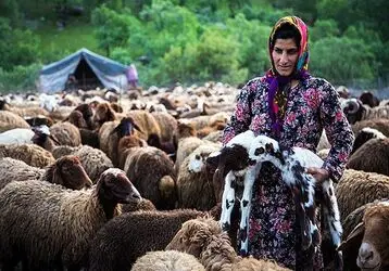کوچ عشایر