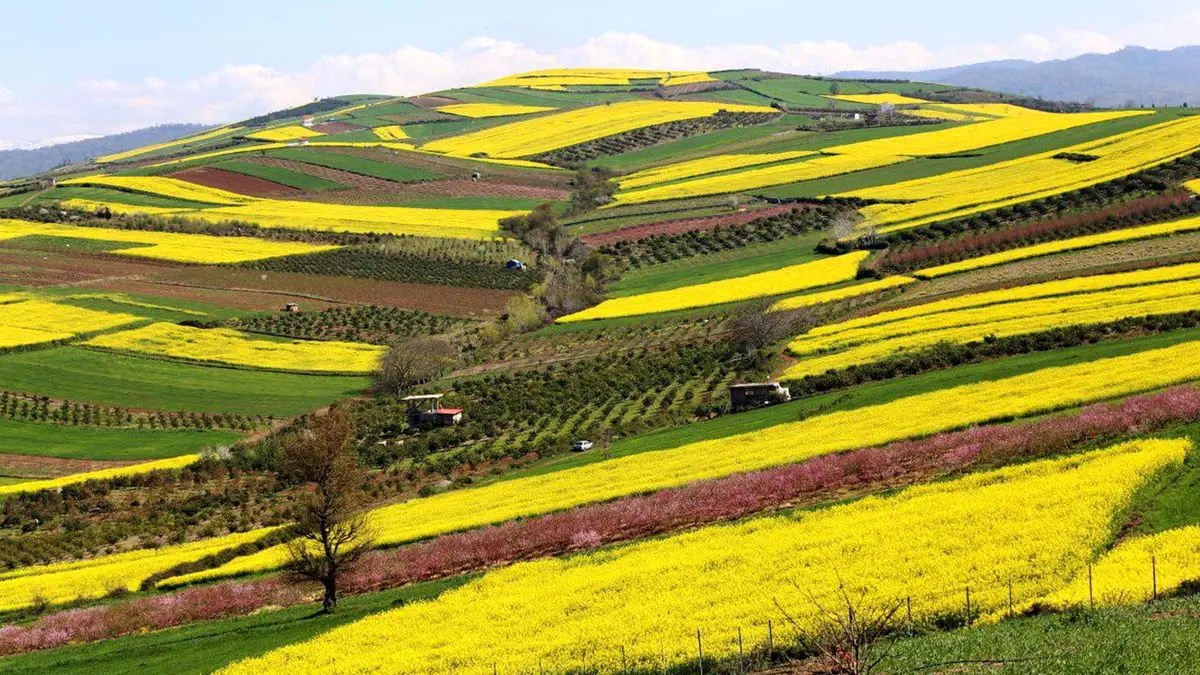 دیدنی های معروف ساری
