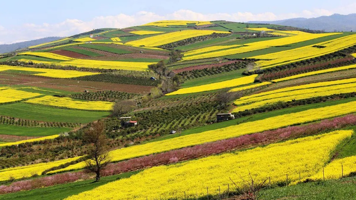 دیدنی های معروف ساری