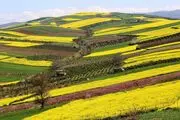 دیدنی های معروف ساری