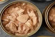 قیمت مصرف کننده تن ماهی متناسب با قدرت خرید مردم تعیین می شود
