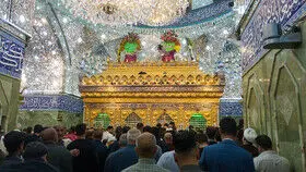 حال و هوای نجف و کربلا در ایام شهادت امیرالمومنین(ع)/ گزارش تصویری
