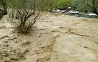 نجات 70 خودروی گرفتار شده در طغیان رودخانه در بخش امامزاده عبدالله آمل