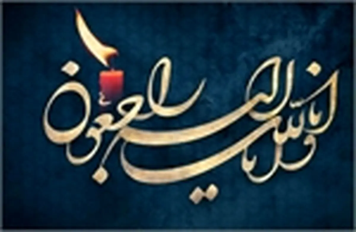 پیام تسلیت حسین انتظامی به یونس شکرخواه