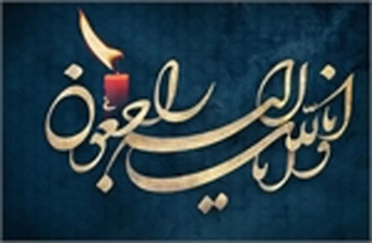 پیام تسلیت حسین انتظامی به یونس شکرخواه 
