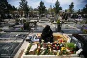  شهرداری تهران برای پنج‌شنبه و جمعه آخر سال چه برنامه‌ای دارد؟