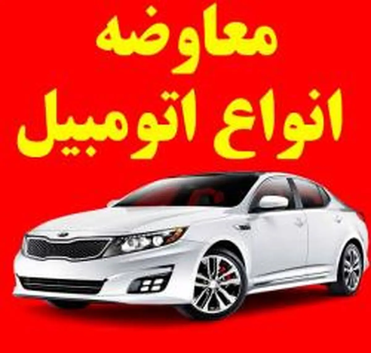 مورد عجیب بازار خودرو: معوضه خودرو با گوساله!