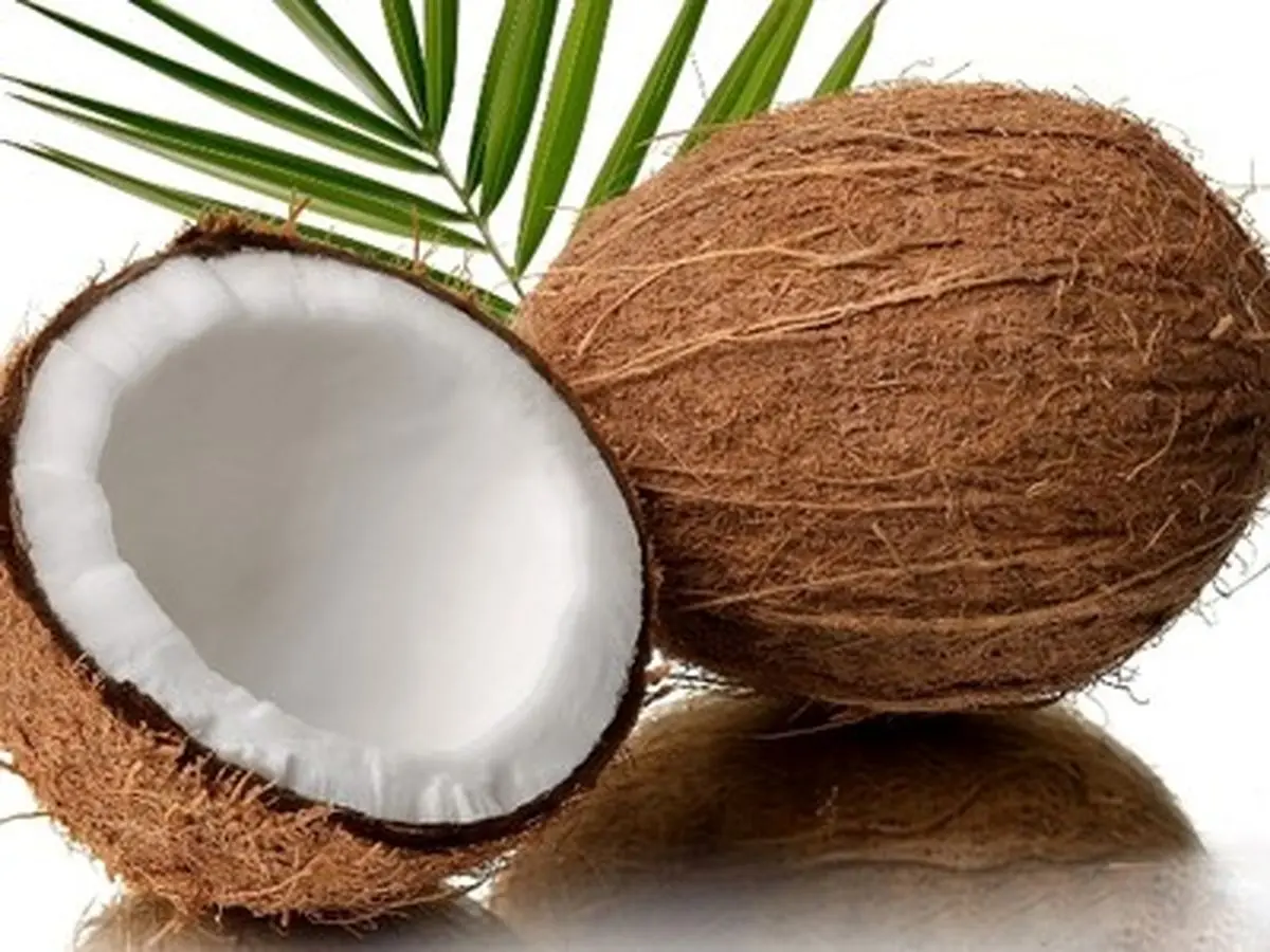 زنان باردار بخوانند