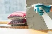 روش ساخت اسپری ضد گرد و غبار خانگی

