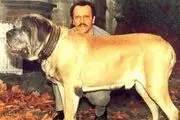 بزرگترین سگ جهان که شما را می ترساند