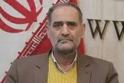 واردات موثرترین راه مدیریت بازار خودرو است