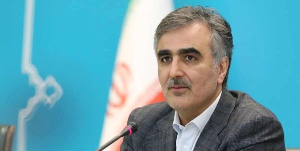 فرزین: خبرهای خوبی درباره آزادسازی منابع بلوکه شده در راه است
