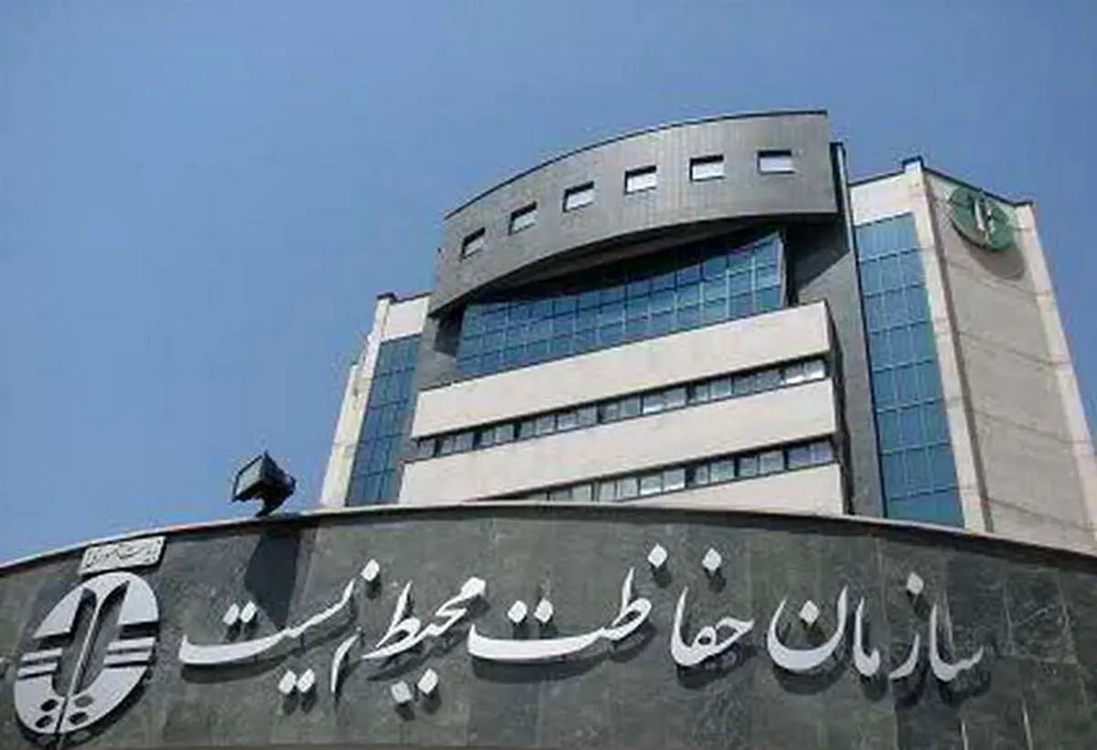 این گربه زیبا، بومی ایران است+ عکس