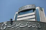 این گربه زیبا، بومی ایران است+ عکس