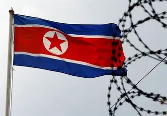 کمک مالی برای سرکشی از کره شمالی