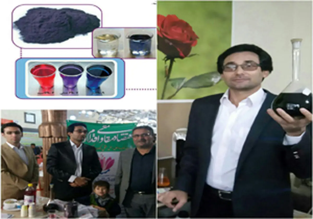 استخراج ماده ای ارزشمند از گلبرگ بنفش زعفران در کاشمر