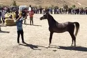 موردی از بیماری «مشمشه» در تاکستان مشاهده نشده است