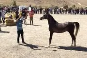 موردی از بیماری «مشمشه» در تاکستان مشاهده نشده است