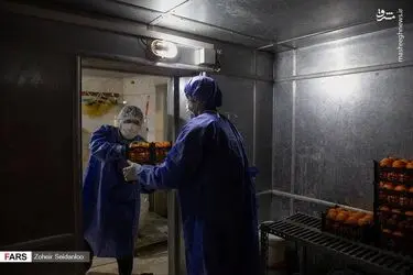 kXp3qz0nlUxA
