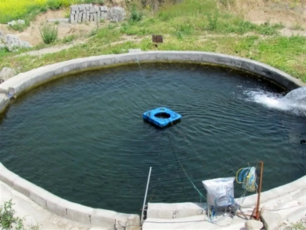 کسب رزق حلال با طعم ماهی
