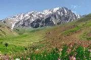 تصاویر زیبا از آلپ ایران