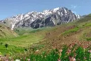 تصاویر زیبا از آلپ ایران