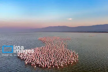 172705336_DJI_20251227162120_0149_D_MEDIDJI3