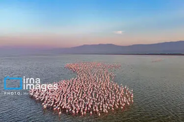 172705336_DJI_20251227162120_0149_D_MEDIDJI3