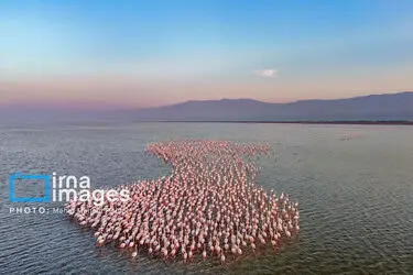 172705336_DJI_20251227162120_0149_D_MEDIDJI3