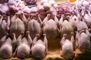 قیمت مرغ و تخم‌مرغ امروز یکشنبه ۶ اردیبهشت ۱۴۰۵