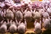 قیمت مرغ و تخم‌مرغ امروز یکشنبه ۶ اردیبهشت ۱۴۰۵